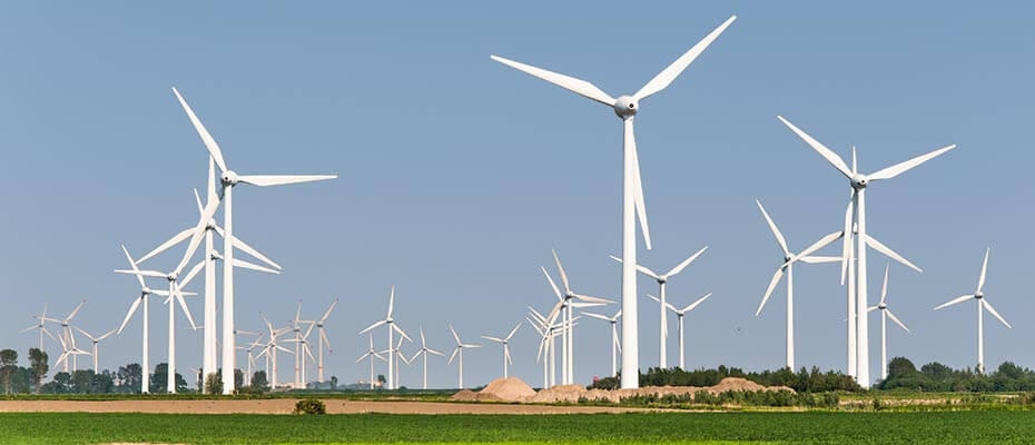 field-service-software-windpark